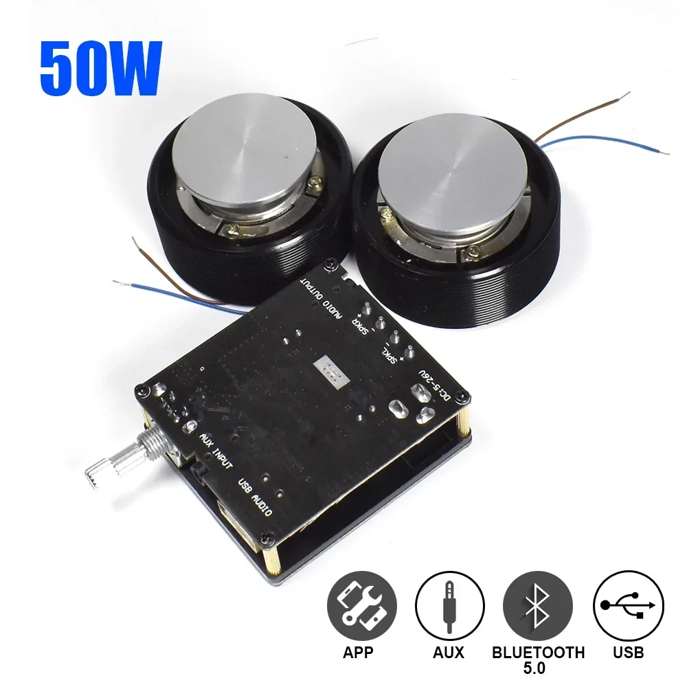 Home Cinema Amplifier - 1 Set 50W 2.0 HIFI Vibration