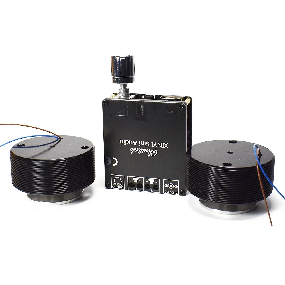 1 Set 50W 2.0 HIFI Vibration S - Home Cinema Amplifier recension och pris