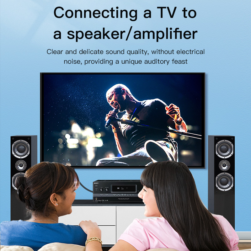 CHOSEAL RCA Cable Digital Coax - Home Cinema Amplifier recension och pris